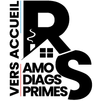 Logo RONIN SOLUTION accueil